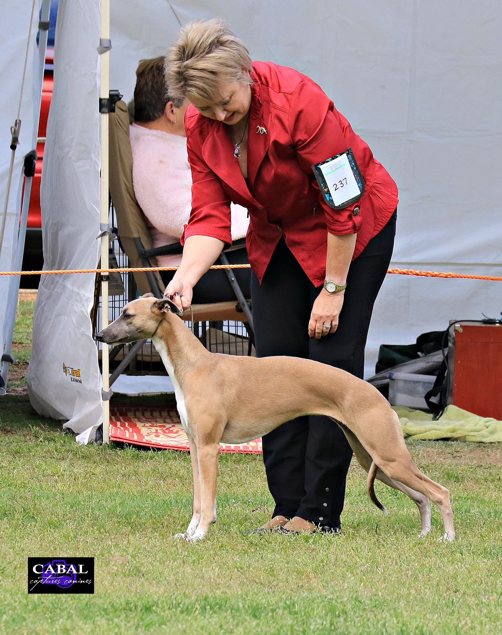RUBIS Ridgesetter Born to Run