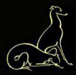 whippetclubnsw.jpg